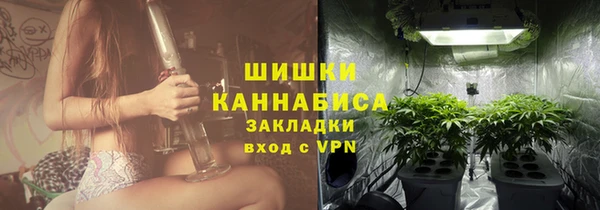 дмт Козельск