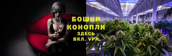 дмт Козельск