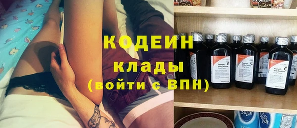 прущие грибы Козловка