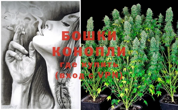 прущие грибы Козловка