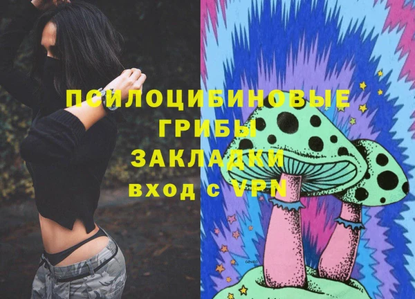 дмт Козельск